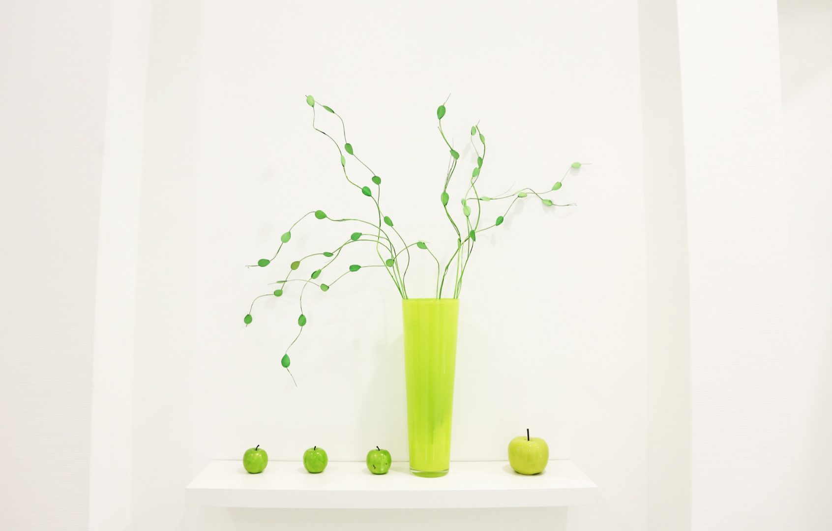 Evergreen Dental sedation